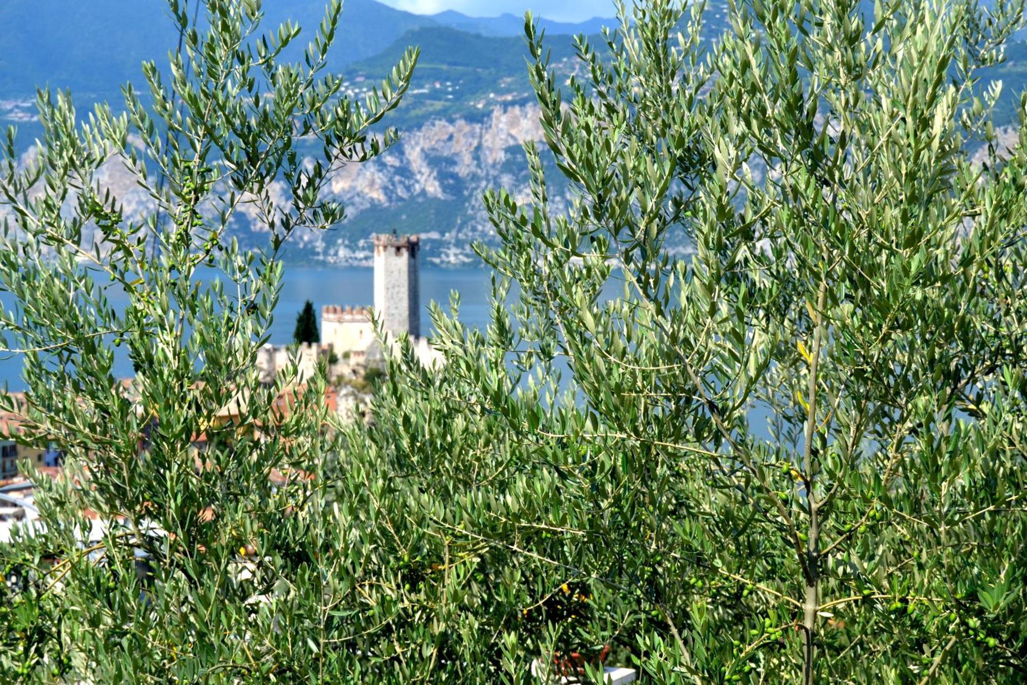 Appartamenti La Perla Malcesine Exterior photo